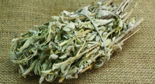 Adaçayı'nın Faydaları Nelerdir