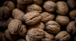 Ceviz Ağacı (Junglans Regia)
