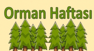 Orman Haftası