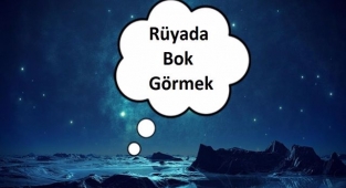 Rüyada Bok Görmek