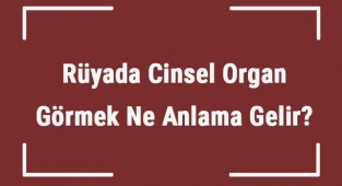 Rüyada Cinsel Organ Görmek