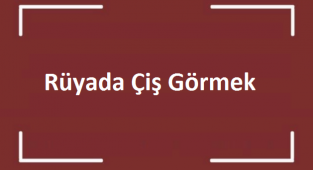 Rüyada Çiş (sidik) Görmek
