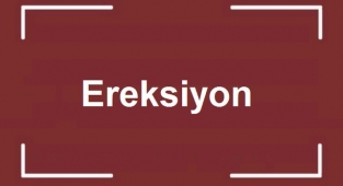 Ereksiyon Nedir