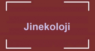Jinekoloji Nedir