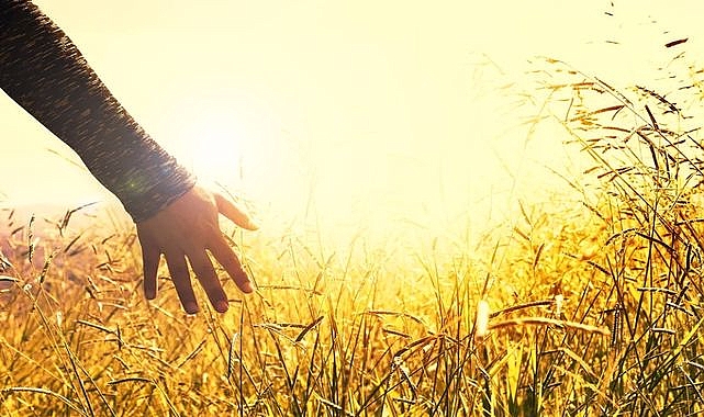 Nasıl Huzurlu Olunur?